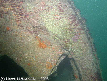 p1182_26_epave_chaudiere