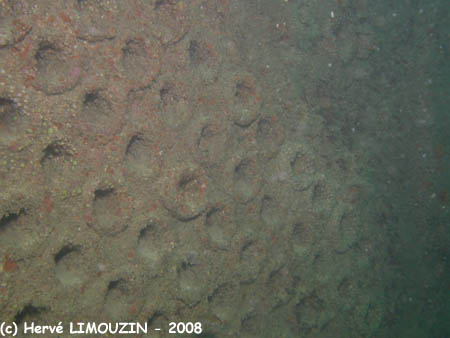 p1182_27_epave_chaudiere