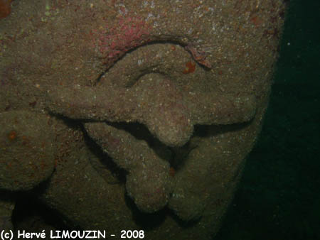 p1182_30_epave_levier_commande