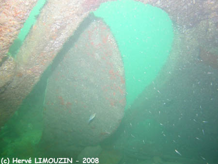 p1182_32_epave_helice_safran