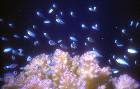 p672_11